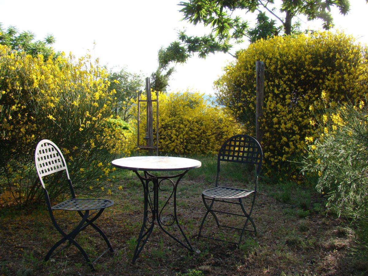 Borgo Tepolini Country House Castel del Piano Kültér fotó
