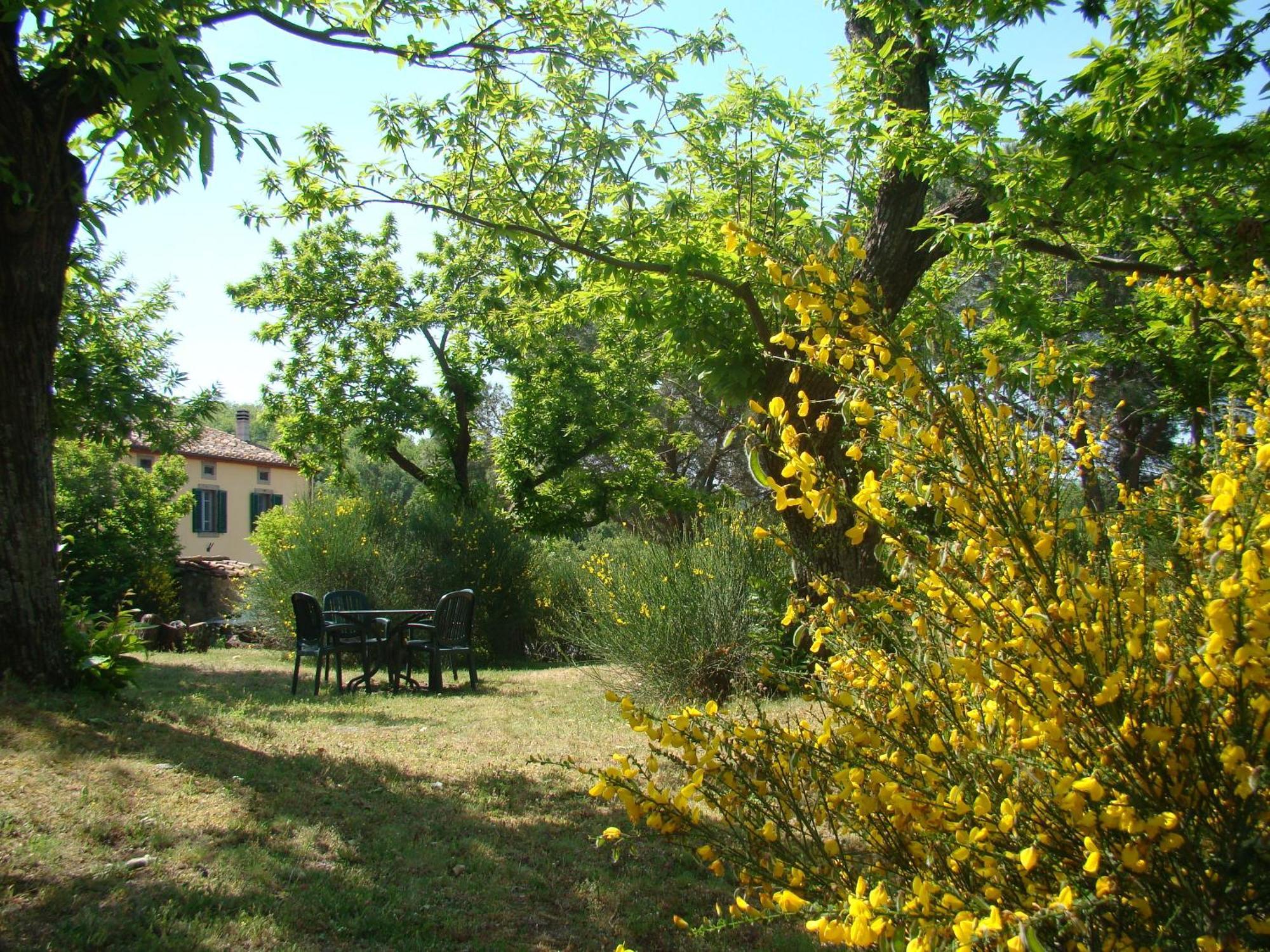 Borgo Tepolini Country House Castel del Piano Kültér fotó