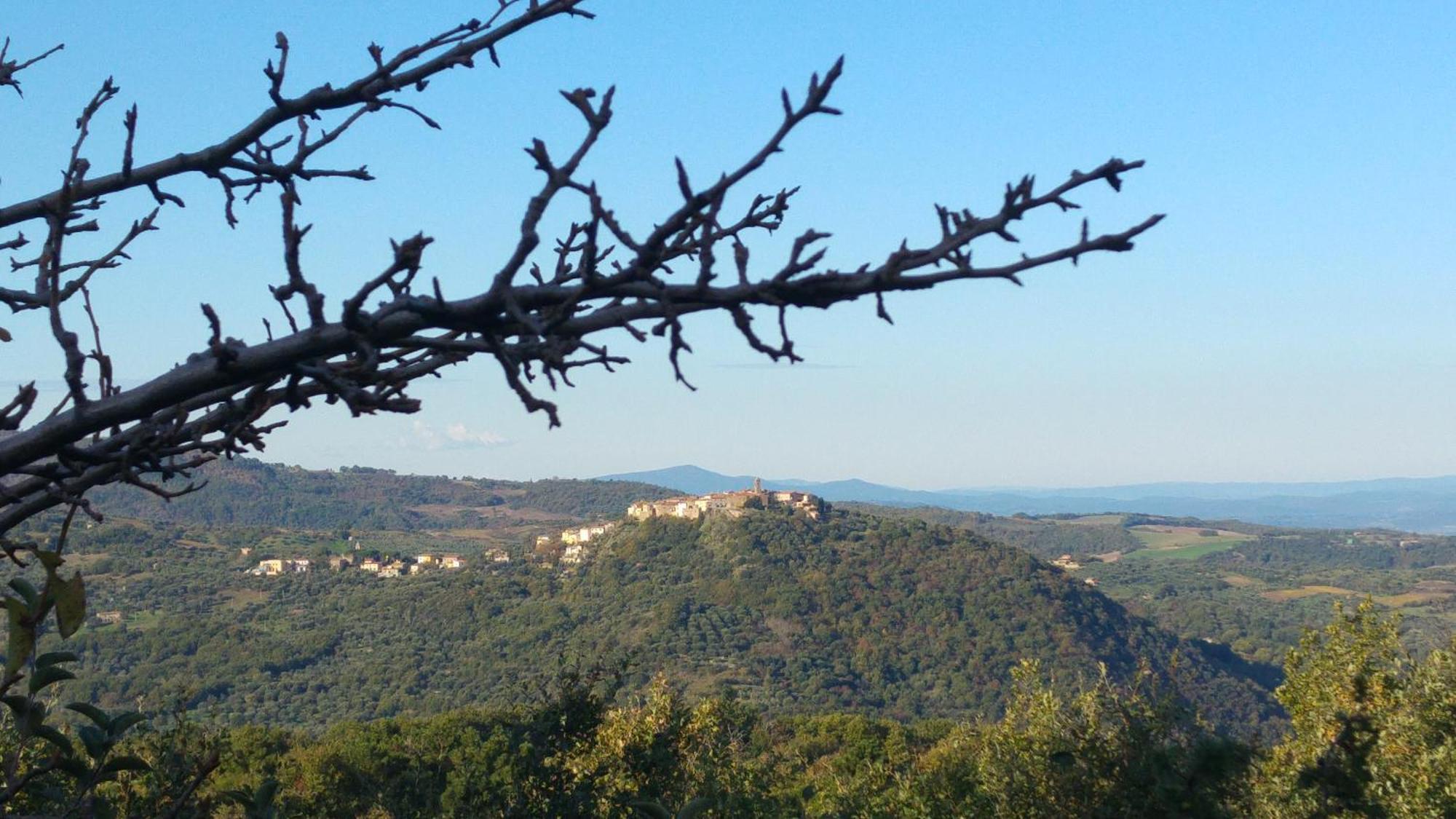 Borgo Tepolini Country House Castel del Piano Kültér fotó