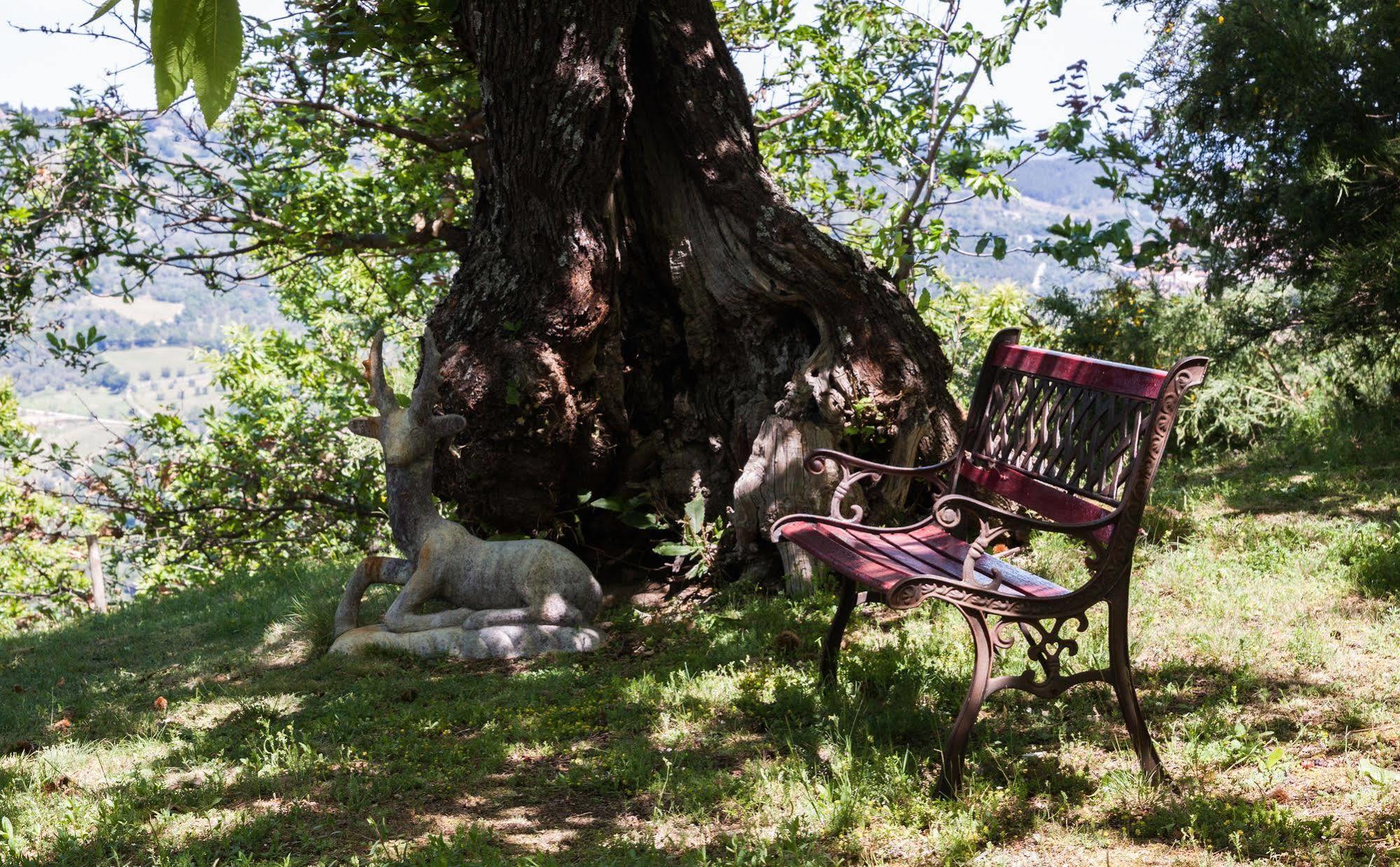 Borgo Tepolini Country House Castel del Piano Kültér fotó